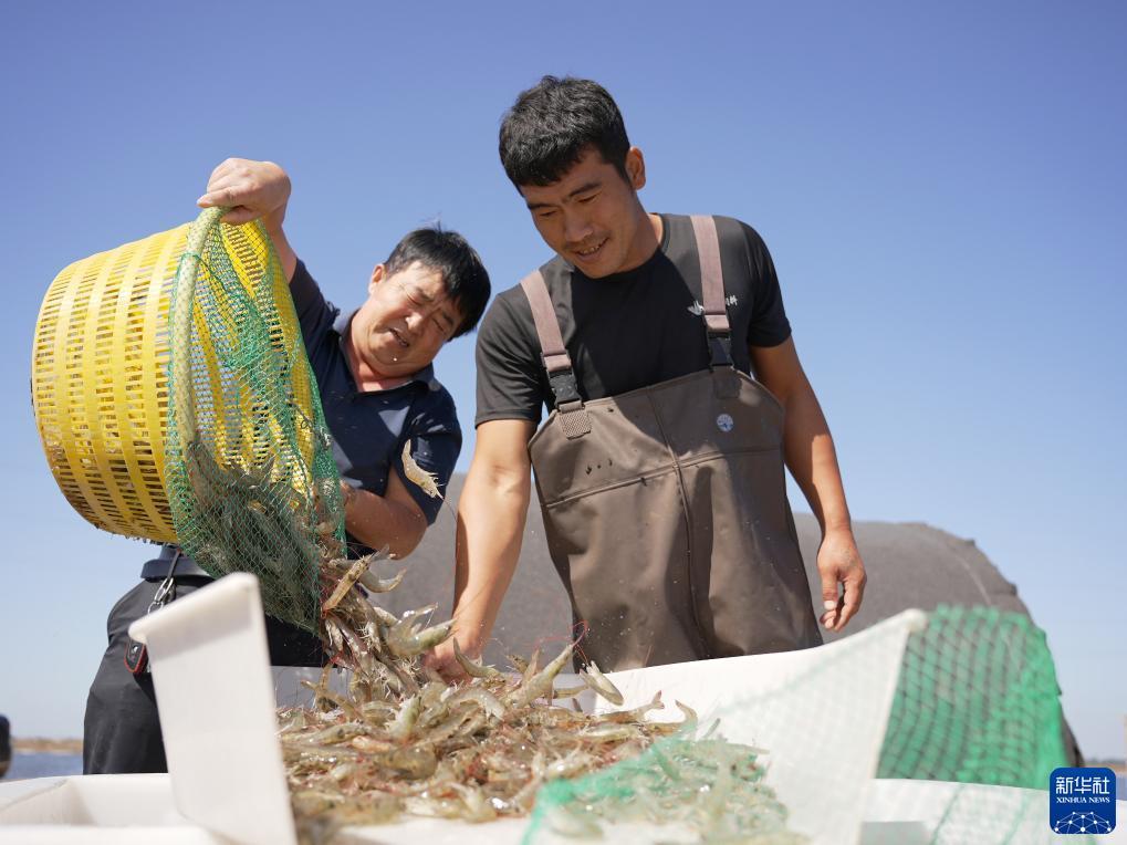 在线永利网投